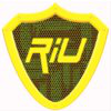 The Rapp IT Up Wireless Security Co.