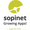 Sopinet