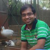 Gaurav Kumar Gupta
