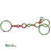SraG RNA