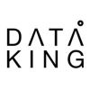 dataking.Inc