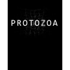 Protozoa