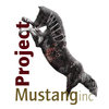 Project Mustang 