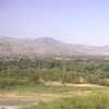 Kohat