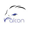 Falcon Cleantech