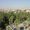 Qamishli
