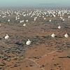 Square Kilometre Array