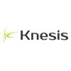 Knesis