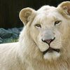 Bratislava Zoo