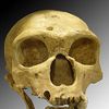 Neanderthal