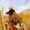 Gamekeeper