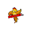 Phoenix 3D Solutions