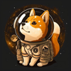 Shibnaut