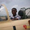David Tetteh (entrepreneur)