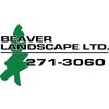 Beaver Landscape