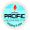 Pacific University (India)