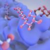 Living Journal of Computational Molecular Science