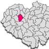 Pericei