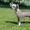 Chinese Crested Dog