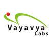 Vayavya Labs