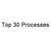 Top 30 Processes