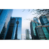 Raniere Capital Partners