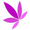 IMPACT Network