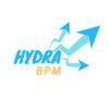 Hydra BPM