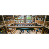 Pack Rat Outdoor Center