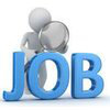Open Positions For You