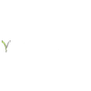 Yogi Hotels