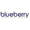 Blueberry Labs