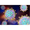 Parainfluenza 2 Grade 2