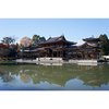 Uji