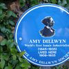 Amy Dillwyn