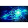Consciousness as a State of Matter