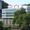 ASTM International