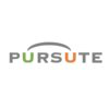 Pursute