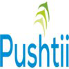 Pushtii Web and IT Solutions
