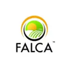 Falca