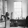 Winifred Brenchley