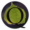 Quid Systems 