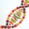 Nutrigenomics