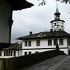 Tryavna