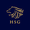 Hiring Strategy Group