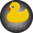 ANAS Engineering & Interaction Design