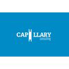 Capillary Consulting