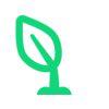 SeedGrowth