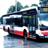 Mercedes-Benz buses