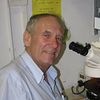 Yosef Gruenbaum